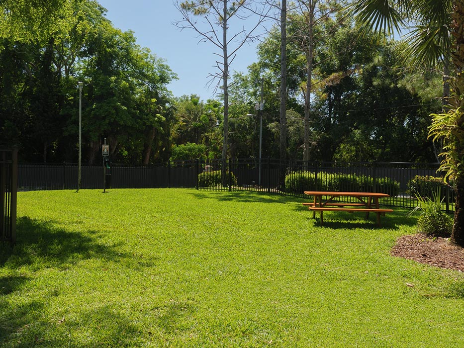 Photos Of Apartments At Summerlin At Winter Park