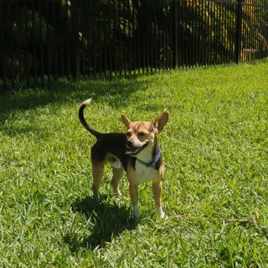 Community photo 10